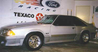 mustang.jpg (9194 bytes)