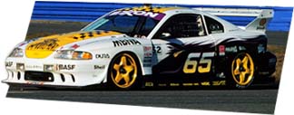 raceside.jpg (15883 bytes)