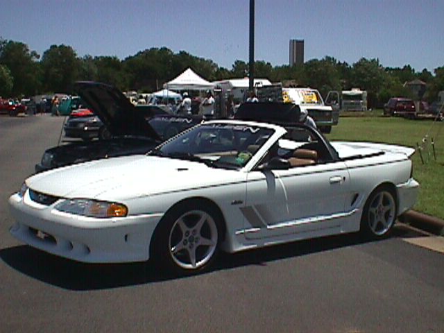 saleenwtside.jpg (49235 bytes)